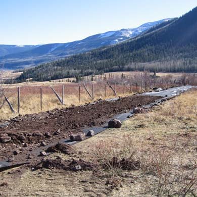 Plants for Hard to Grow Areas