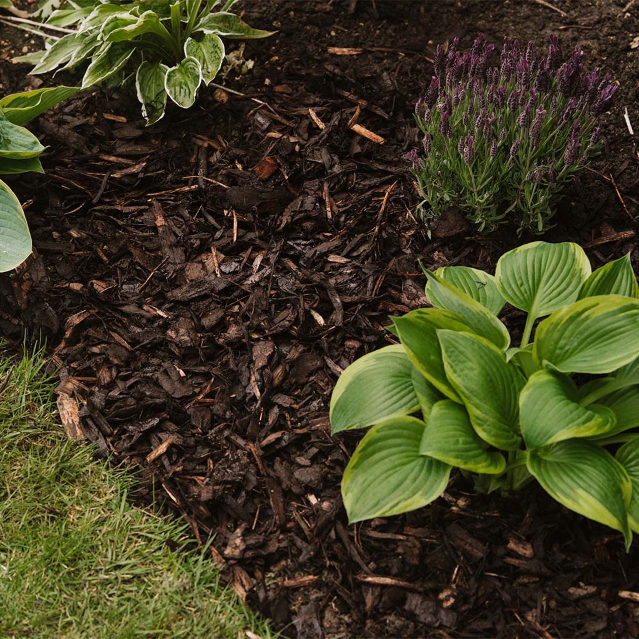 Landscape bark 90L mulch for moisture retention and weed control.