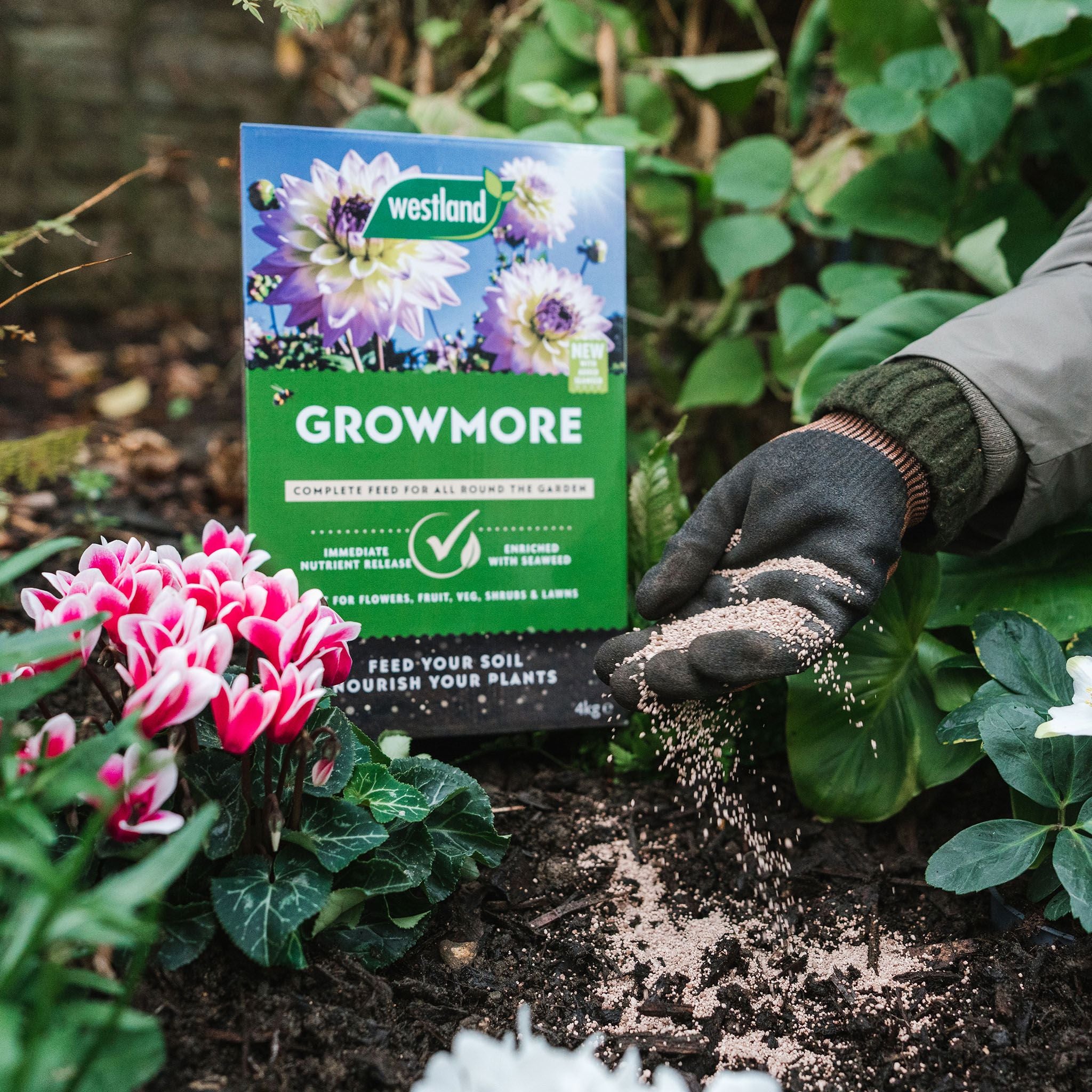 All-purpose granular fertilizer 4kg soil feed.