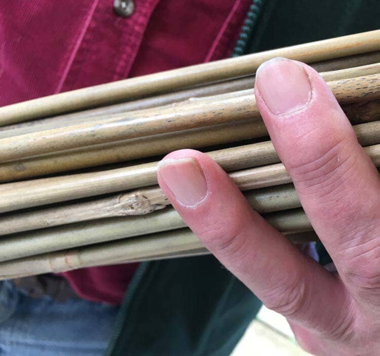 Bamboo canes 4ft 12-14mm garden plant supports.