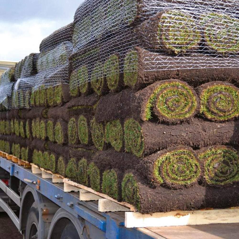 Lawn grass turf rolls for landscaping projects premium quality.