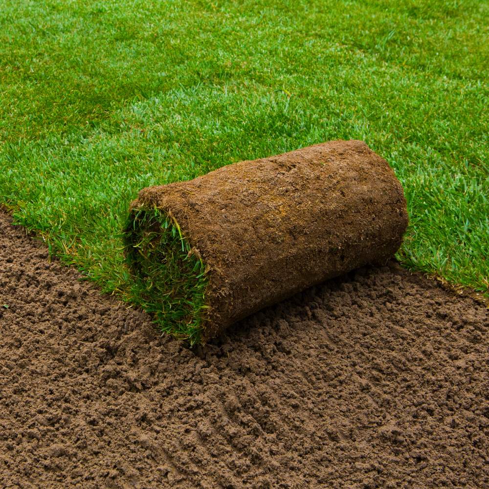 Lawn grass turf roll premium quality for new and existing lawn areas.