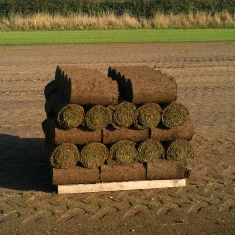 Lawn grass turf rolls palletised for laying, ground cover or lawn repair.