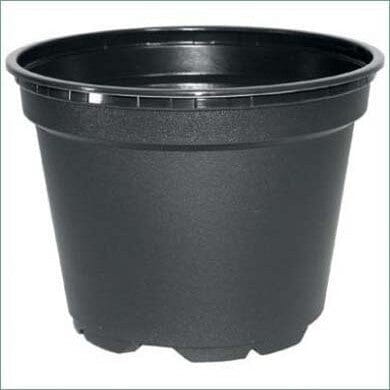 Round plastic plant pots 10.5cm pack of 50 for seedlings or small plants.