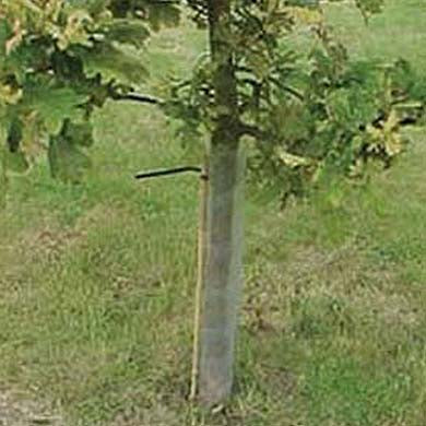 Spiral Tree Protection Guards