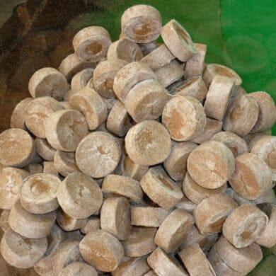 A pile of round, brown sugar discs stacked closely together, with a green surface partly visible in the background.