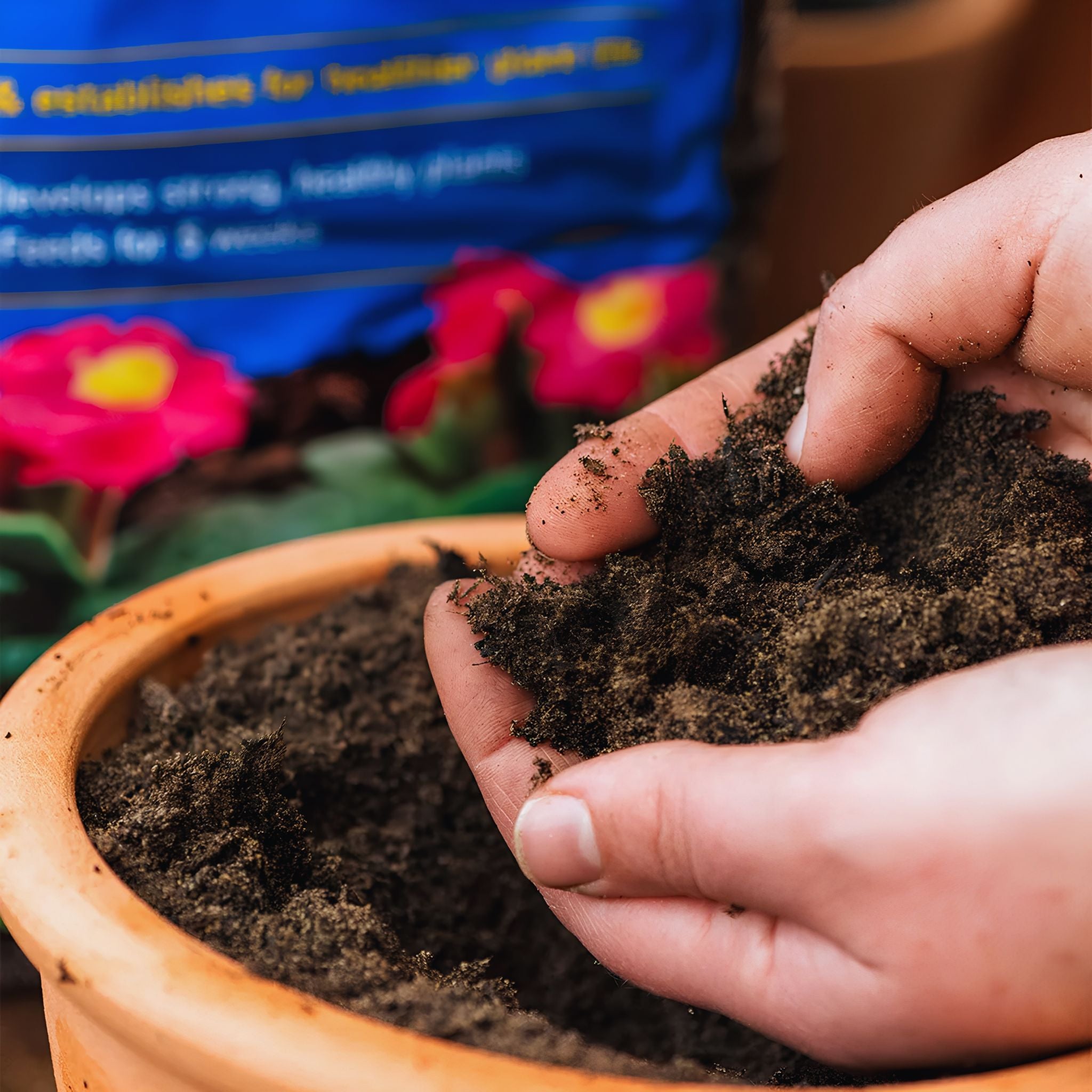 A bag of Westland Peat Free Multi-Purpose Compost with added John Innes, featuring yellow flowers on the packaging, stands in a garden with colorful flowers and gravel.