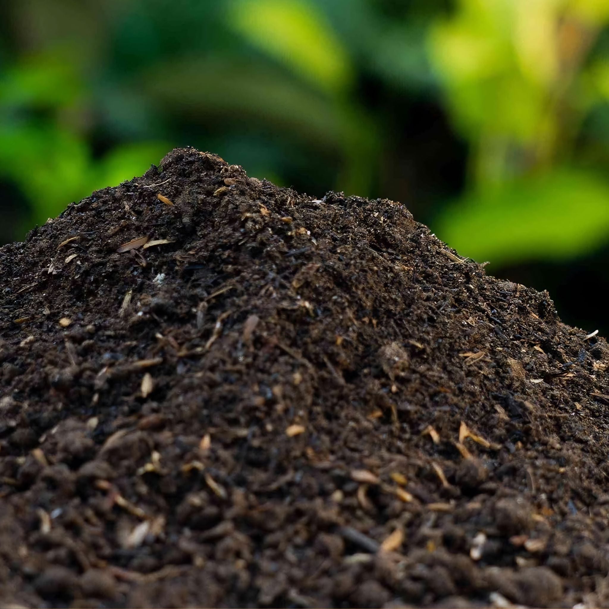 A bag of Westland Soil Improver stands on a patio. The packaging highlights its benefits for plant growth, soil structure, fertility, and nutrients, and features images of flowers and root ve