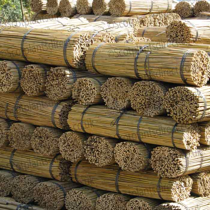 Stacks of bamboo poles bundled together with ties are arranged in rows, forming a neat pile outdoors. The ends of the bamboo are visible, showing their hollow structures.