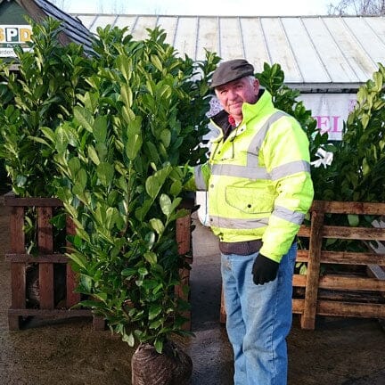 An older man in a neon yellow safety jacket and cap stands beside a large potted shrub at an outdoor garden center, smiling at the camera. Wooden pallets and other plants are in the background.