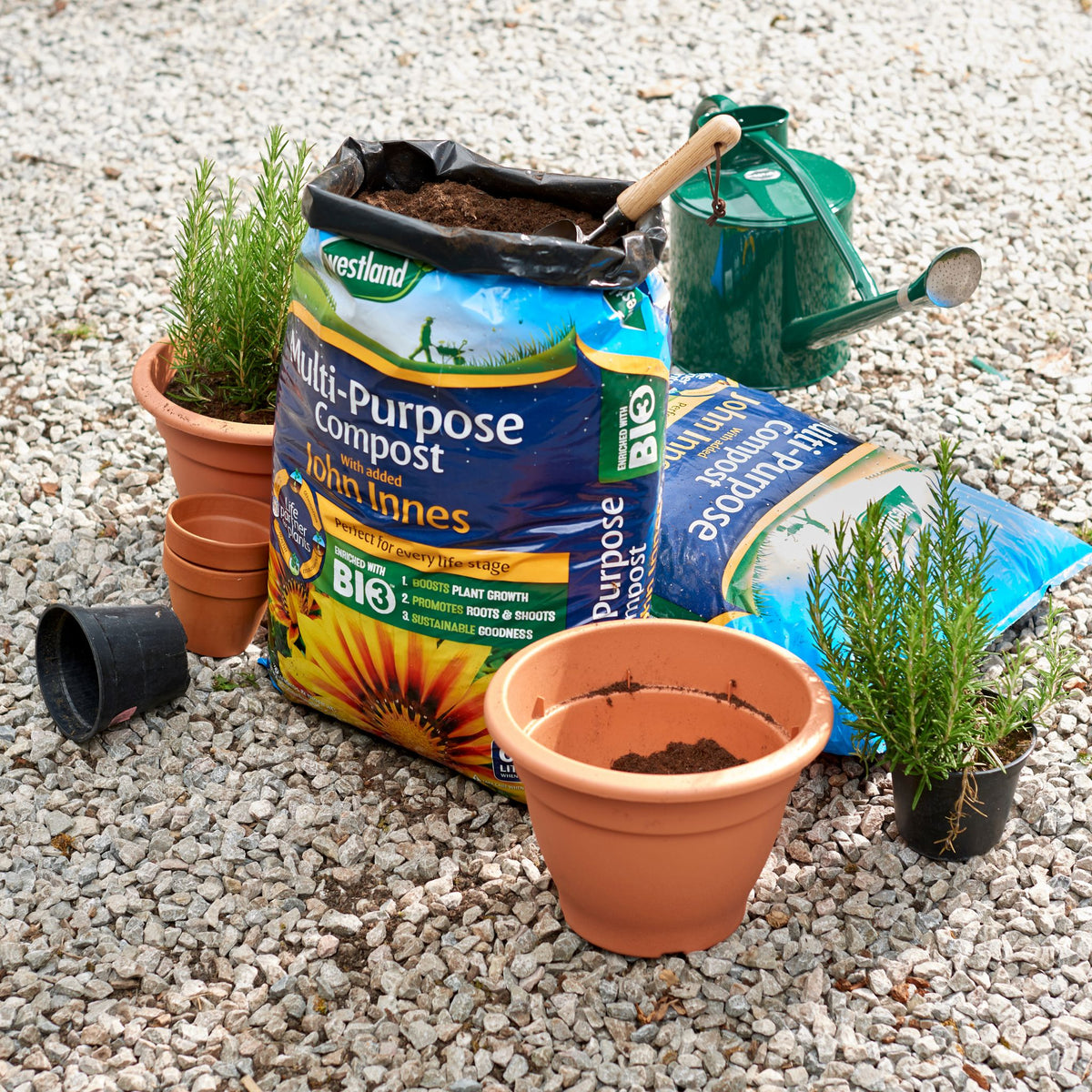Multi-purpose compost 50L bag for potting and planting.