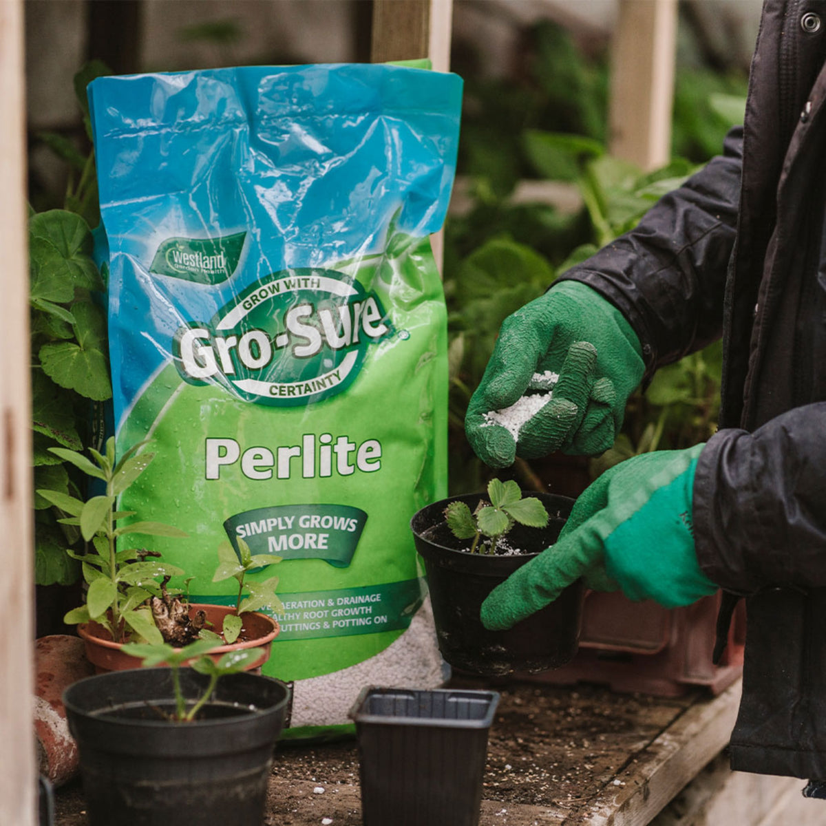 Perlite 10L soil conditioner for improved drainage and aeration.
