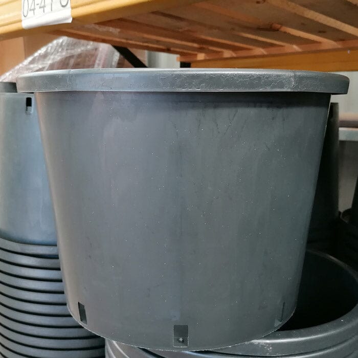 Plastic outdoor plant pot 25 litre heavy duty black gardening container.