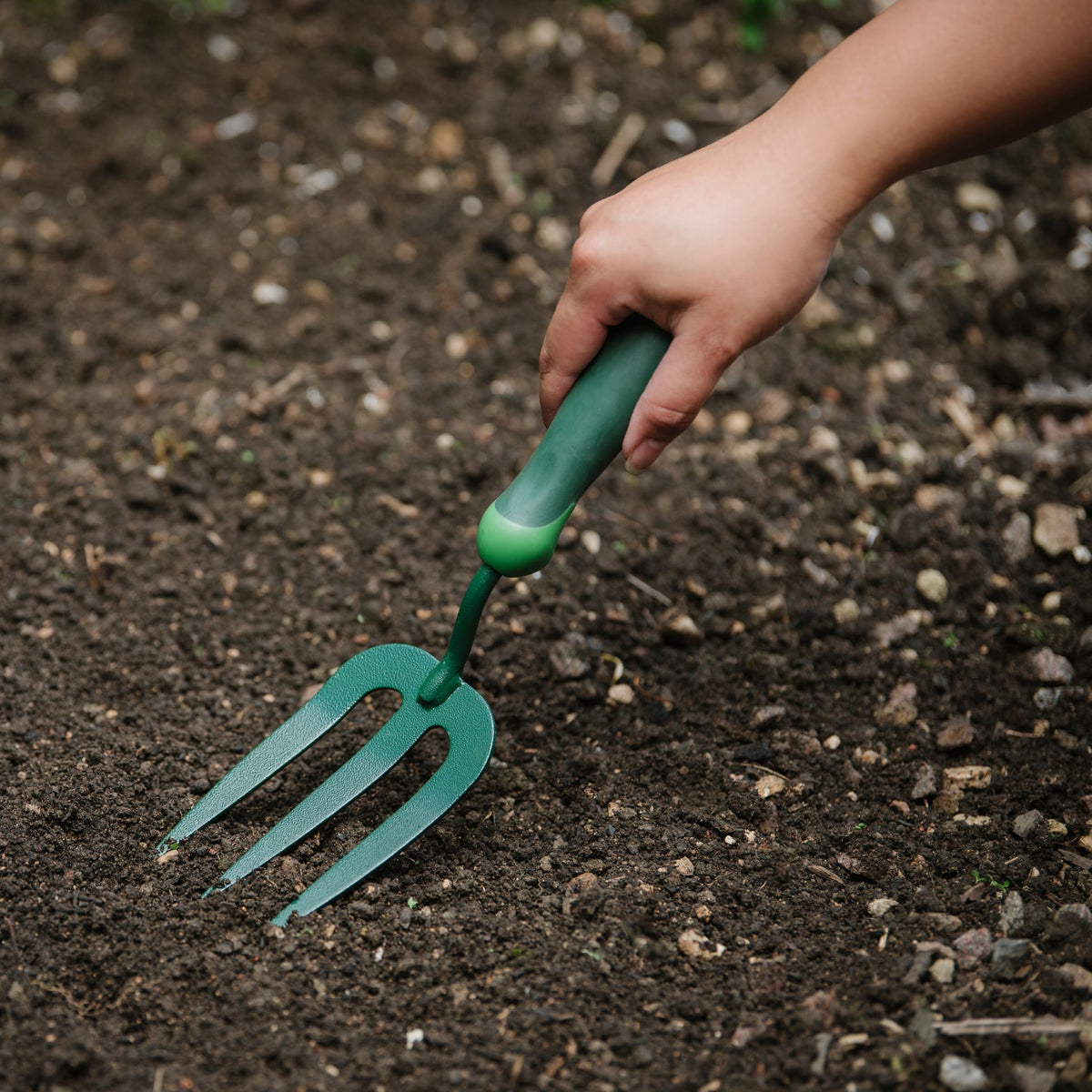 Hand fork gardening tool for loosening soil, weeding, and aerating garden beds.