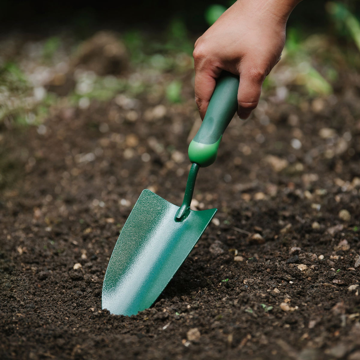 Hand trowel for bulb planting and soil preparation.