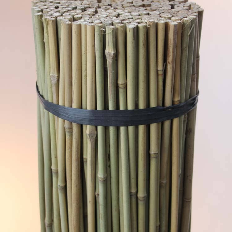 Bamboo canes 3ft extra thick 12-14mm plant support garden stakes.