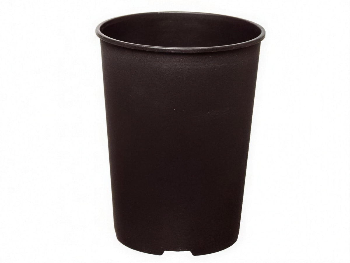 Plastic plant pot 2 litre deep rose for planting and repotting.