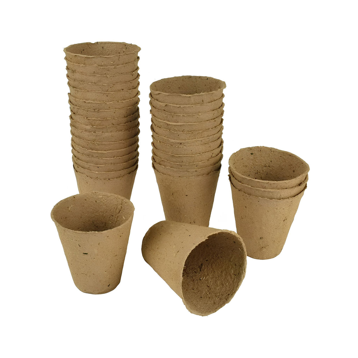 Fibre pots 8cm pack of 12 seedling starter biodegradable gardening accessory.
