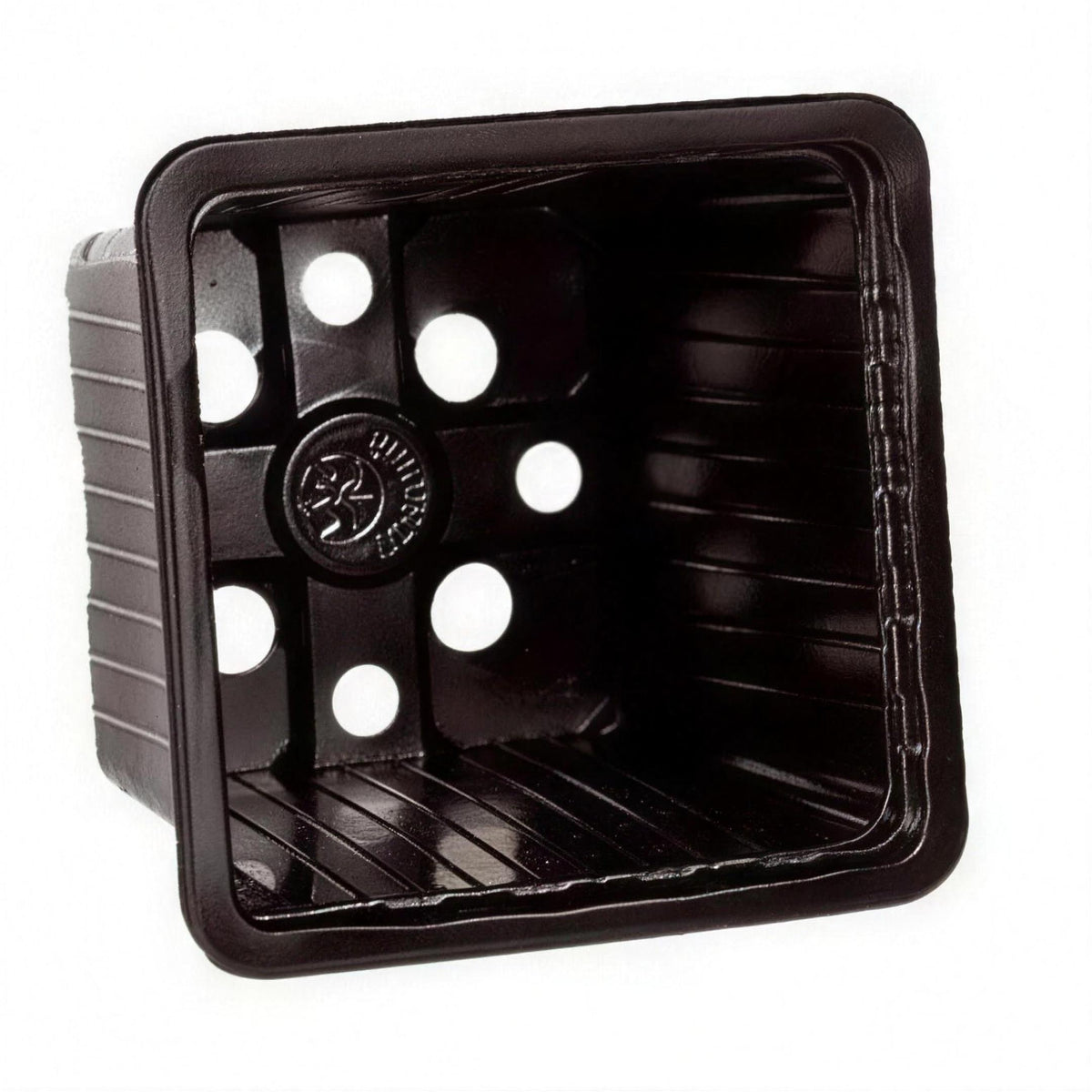 Square black plastic plant pots 7cm pack of 50 plant propagation or seed starting.