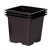 Black plastic plant pots 7cm square pack of 50 seed starting or young plants.